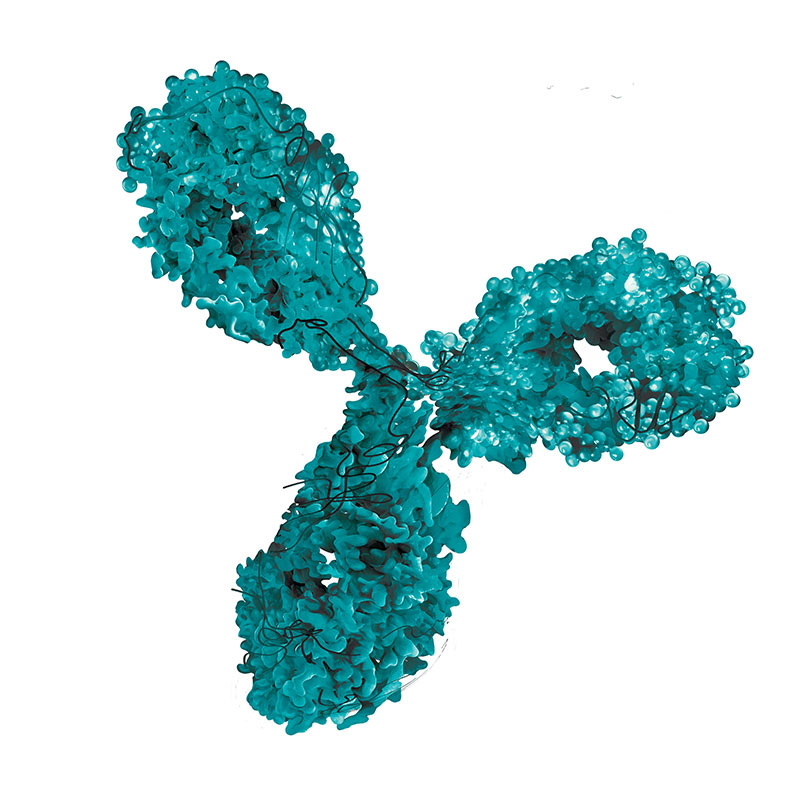 Monoclonal antibody blue green 3d art